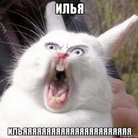 илья ильяяяяяяяяяяяяяяяяяяяяяяя