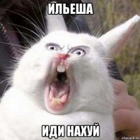 ильеша иди нахуй