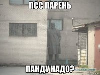 псс парень панду надо?
