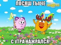 лосяш ты че с утра нажрался!