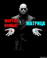 МОРТАЛ КОМБАТ МАТРИЦА 