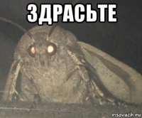 здрасьте 