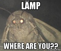 lämp where are you??