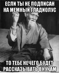 если ты не подписан на мемный гладиолус то тебе нечего будет рассказывать внукам