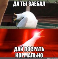 да ты заебал дай посрать нормально