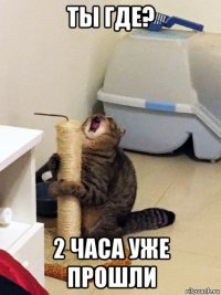 ты где? 2 часа уже прошли
