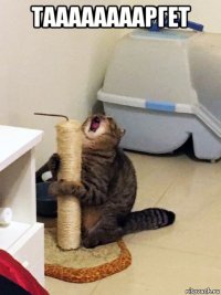 тааааааааргет 