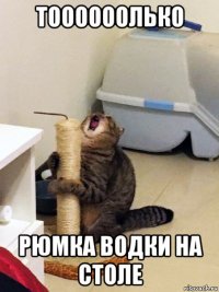 тоооооолько рюмка водки на столе