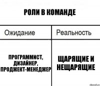 Роли в команде Программист, дизайнер, проджект-менеджер Щарящие и нещарящие