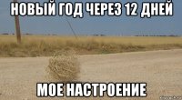 новый год через 12 дней мое настроение