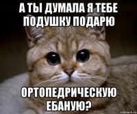 а ты думала я тебе подушку подарю ортопедрическую ебаную?