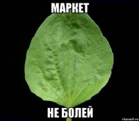 маркет не болей