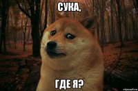 сука, где я?