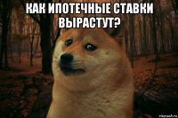 как ипотечные ставки вырастут? 