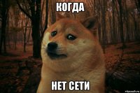 когда нет сети