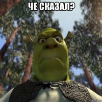 че сказал? 