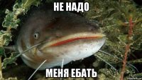 не надо меня ебать