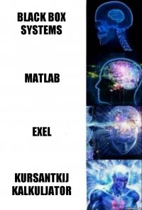 Black box systems Matlab Exel Kursantkij Kalkuljator