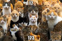 12 123
