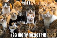 12 123 жопу подотри!