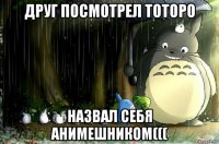 друг посмотрел тоторо назвал себя анимешником(((