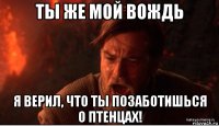 ты же мой вождь я верил, что ты позаботишься о птенцах!