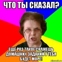 что ты сказал? ещё раз такое скажешь домашних заданий у тебя будет море!