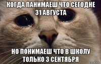 когда панимаеш что сегодне 31 августа но понимаеш что в школу только 3 сентября