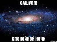 сашуля! спокойной ночи