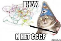 вжух и нет ссср