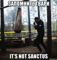 запомните твари it's not sanctus