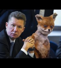 Создать мем Foxwhy