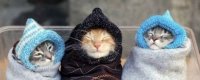 Создать мем Хорошо попарились
