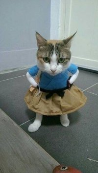 Создать мем К