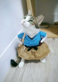 Создать мем Ш