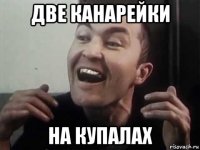две канарейки на купалах
