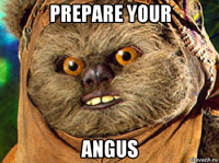 prepare your angus