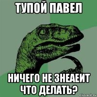 тупой павел ничего не знеаеит что делать?