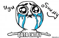  data entry