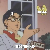 Я голубь Это бабочка?