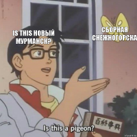 Is this новый Мурманск? Сборная Снежногорска 