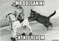mr dolganini ситителеком