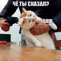 чё ты сказал? 