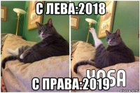 с лева:2018 с права:2019