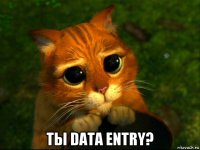  ты data entry?