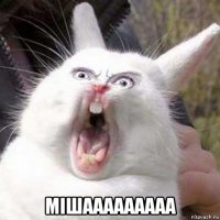 мiшааааааааа