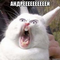 андреееееееееей 