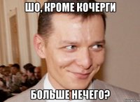 шо, кроме кочерги больше нечего?