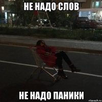 не надо слов не надо паники