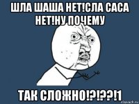 шла шаша нет!сла саса нет!ну почему так сложно!?!??!1